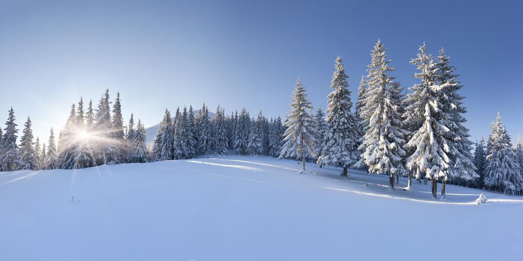 Hotel Club Le Risoux Bois-dʼAmont Esterno foto